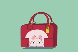 Anime rygsæk og tasker